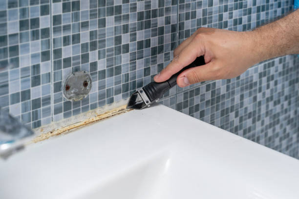 Best Office Mold Removal Services  in Memphis, FL